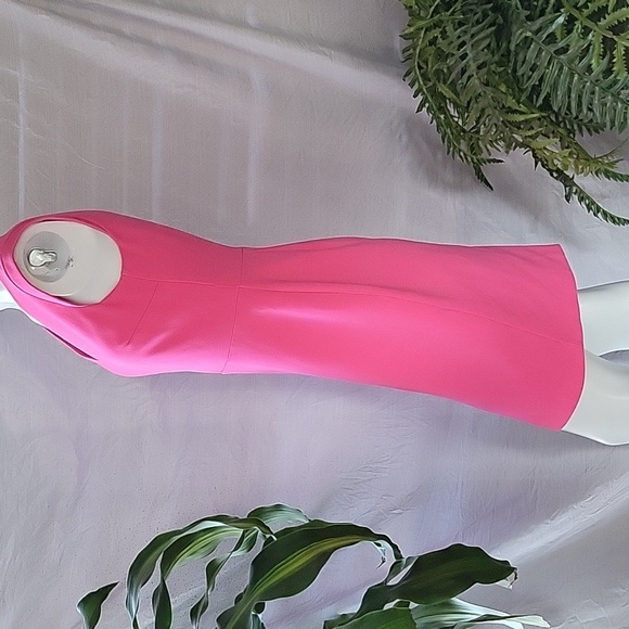 Banana Republic Pink Business Casual Sleeveless Fitted Shift Dress Barbie Sz 2 - Picture 4 of 8